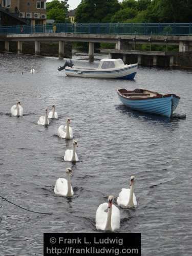 Swan Parade